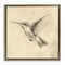 Stupell Industries Vintage Hummingbird Sketch Floating Frame, design by Petal Prints Design